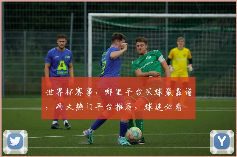世界杯赛事，哪里平台买球最靠谱，两大热门平台推荐，球迷必看