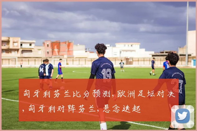匈牙利芬兰比分预测,欧洲足坛对决,匈牙利对阵芬兰,悬念迭起