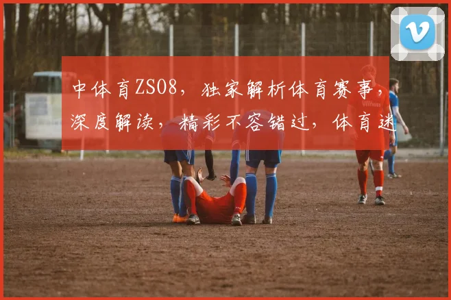 中体育ZSO8，独家解析体育赛事，深度解读，精彩不容错过，体育迷必看
