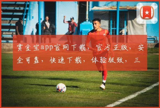 赏金宝app官网下载，官方正版，安全可靠，快速下载，体验极致，三步轻松拥有
