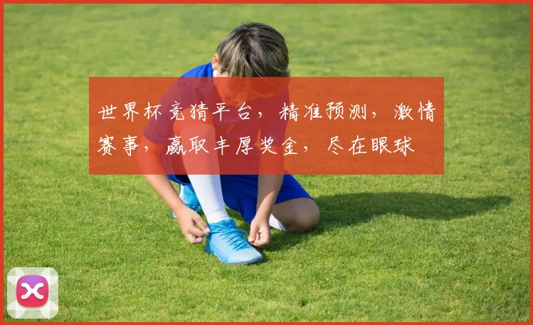 世界杯竞猜平台，精准预测，激情赛事，赢取丰厚奖金，尽在眼球